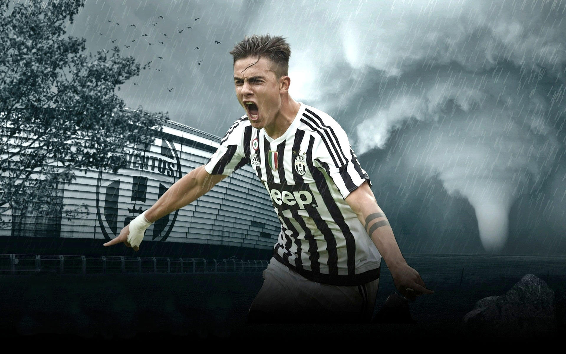 步横移和垂 步横移和垂